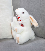 Load image into Gallery viewer, Monty Python Rabbit w/Big Pointy Teeth Plush - TV_15005