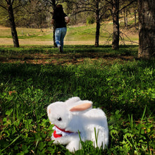 Load image into Gallery viewer, Monty Python Rabbit w/ Big Pointy Teeth Plush Toy (Mini Size) - TV_15025
