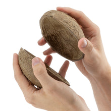 Load image into Gallery viewer, Monty Python Horse Action Figure - TVKIT001