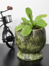 Load image into Gallery viewer, 5-Inch Cthulhu Resin Planter Pot - TV_12038
